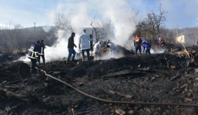Sinop'ta 5 evin zarar gördüğü yangında 2 kişi öldü – Güncel haberler