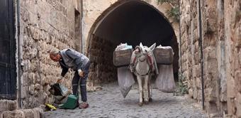 Mardin’de ‘çalışan eşekler’ emekliye ayrılıyor