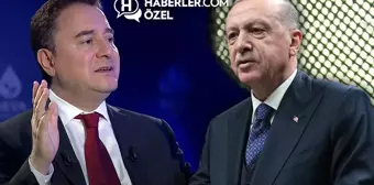 Ali Babacan: Erdoğan çözüm sürecinde zikzaklarla yürüyor