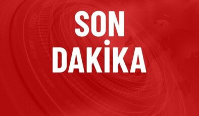 Öcalan’la görüşen DEM Parti heyetinden yeni açıklama