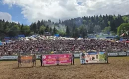Kafkasör Festivali Boğa Güreşleriyle Sona Erdi